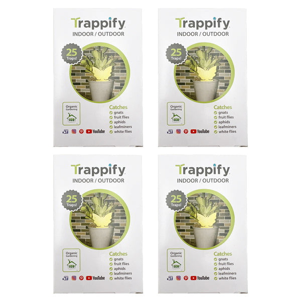 http://www.dealsociety.com/cdn/shop/files/dealsociety-trappify-butterfly-4pk-1_1024x.jpg?v=1683324422