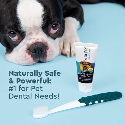 2 Pack - RADIUS USDA Organic Dental Solutions Puppy Kit