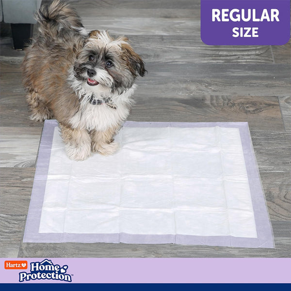 3 Pack - Hartz Home Regular Size Protection Lavender Scented Dog Pads 50ct Each