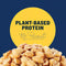 3 Pack - Planters Dry Roasted Salted Peanuts 2.25oz 15 Count Each