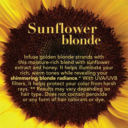 OGX Hydrate Color Reviving Sunflower Shimmering Blonde Penetrating Oil - 3 or 6 Pack